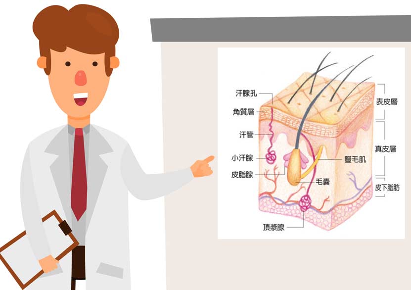 狐臭、多汗症傻傻分不清？陳歷舜醫師來幫你解惑！｜風傳媒