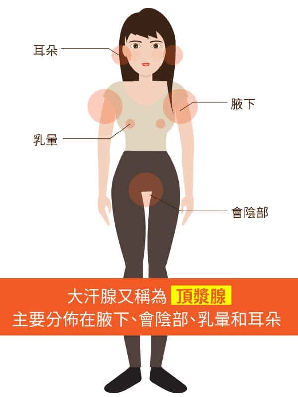 黃馨慧醫師｜狐臭不只在腋下？私密處也有狐臭？