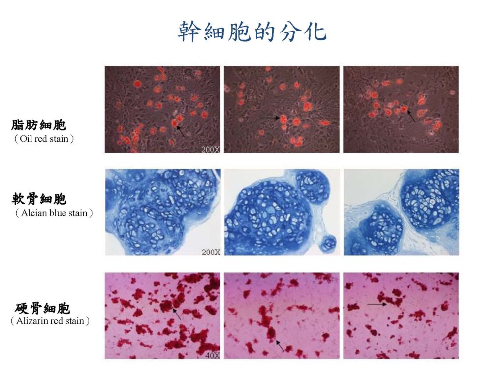 【特管法】你知道什麼是幹細胞治療嗎？｜陳建璋醫師